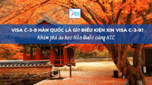 VISA C-3-9 HÀN QUỐC LÀ GÌ? ĐIỀU KIỆN XIN VISA C-3-9?