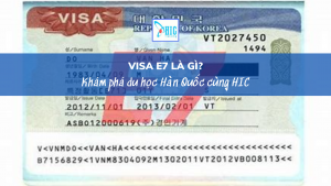 VISA E7 HÀN QUỐC LÀ GÌ?