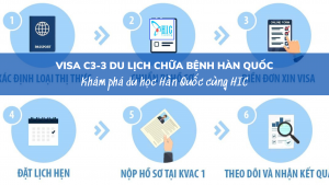 VISA C3-3, VISA DU LỊCH CHỮA BỆNH TẠI HÀN QUỐC