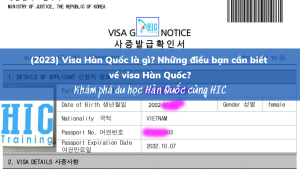 VISA HÀN QUỐC LÀ GÌ? NHỮNG LOẠI VISA HÀN QUỐC PHỔ BIẾN?